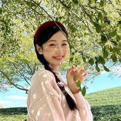 丛林奇航